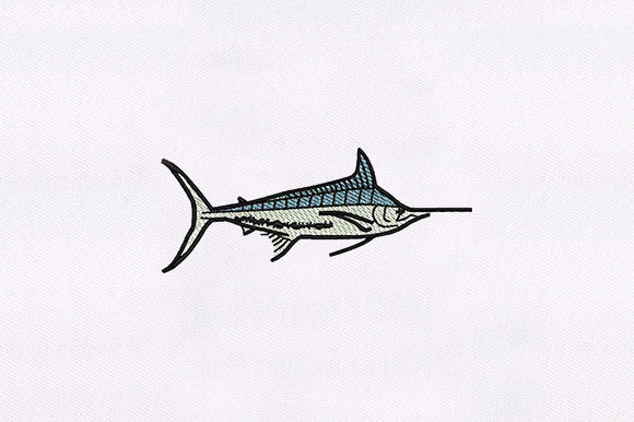 Blue Marlin Fish
